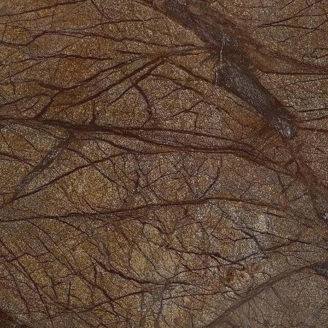 Forest Brown
